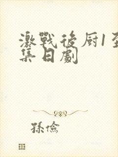 激战后厨1至5集日剧