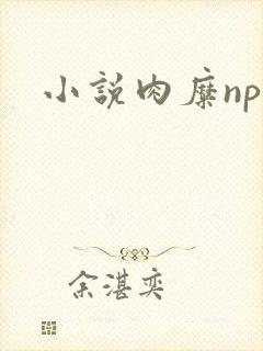 小说肉糜np