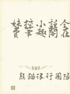 妹控小说全文免费笔趣阁在线阅读