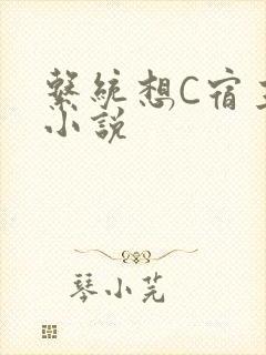 系统想C宿主的小说