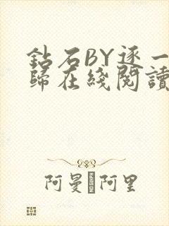 钻石BY逐一而归在线阅读