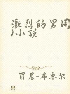 激烈的男同(h)小说