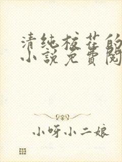 清纯校花的秘密小说免费阅读