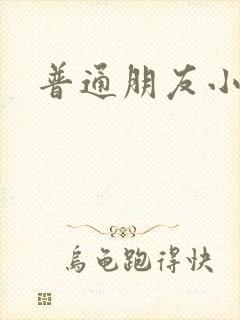 普通朋友小说