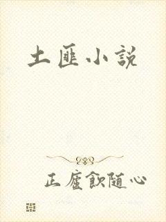 土匪小说