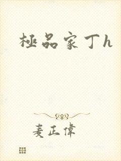 极品家丁h