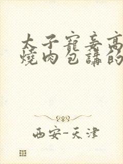 太子宠妾高肉红烧肉包讲的什么