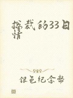 总裁的33日索情