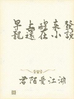 早上醒来发现巨龙还在小说