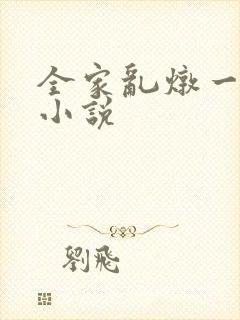 全家乱炖一锅烩小说