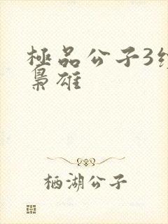 极品公子3续世枭雄