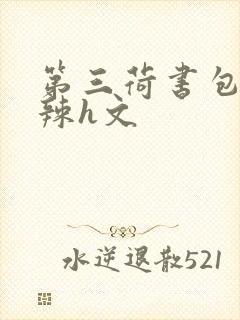 第三荷书包网高辣h文