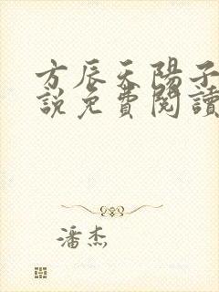 方辰天阳子的小说免费阅读