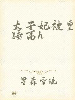 太子妃被皇上强睡高h