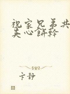 祝家兄弟共享后夹心饼干