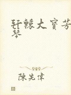 轩辕大宝芳菲雅琴