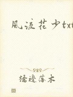 风流花少txt