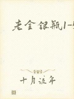 老金银瓶1-5封面