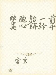 双胞胎一前一后夹心饼干年下