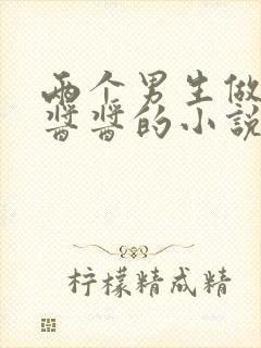 两个男生做酿酿酱酱的小说