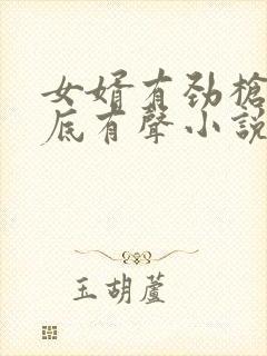 女婿有劲枪枪到底有声小说