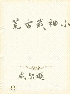 荒古武神小说