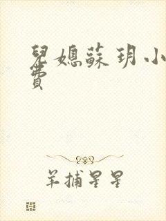 儿媳苏玥小说免费