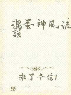 混蛋神风流史小说