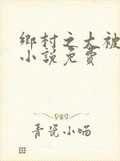 乡村之大被同眠小说免费