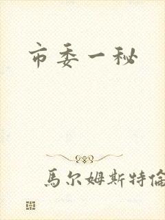 市委一秘