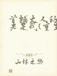 首辅大人的白月光是我(重生)