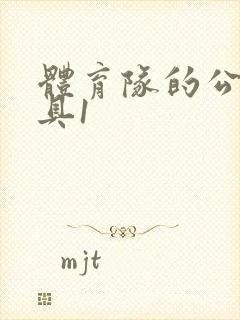 体育队的公用玩具1