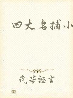 四大名捕小说