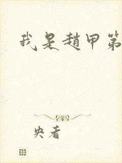 我是赵甲第小说