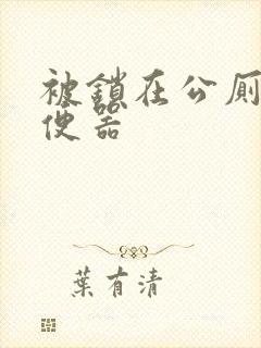 被锁在公厕当坐便器