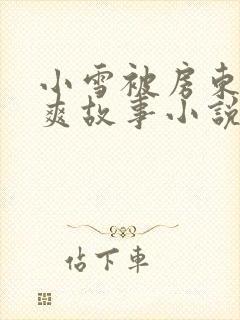 小雪被房东的好爽故事小说