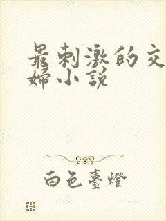 最刺激的交换夫妇小说