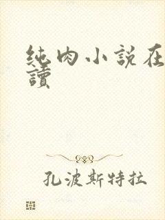 纯肉小说在线阅读