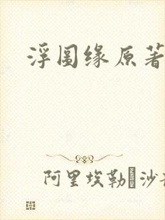 浮图缘原著小说