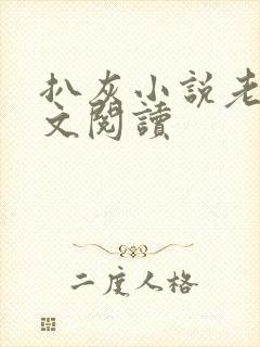 扒灰小说老马全文阅读