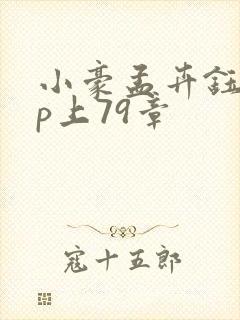 小豪孟卉钰慧三p上79章