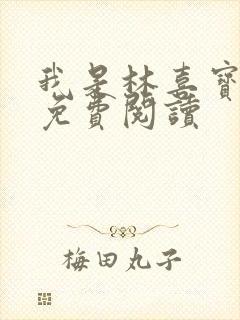 我是林喜宝小说免费阅读