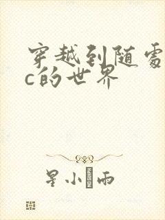 穿越到随处可以c的世界