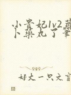 小贵妃1v2萝卜药丸了笔趣阁