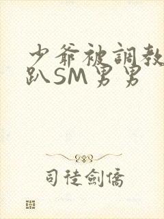 少爷被调教室跪趴SM男男