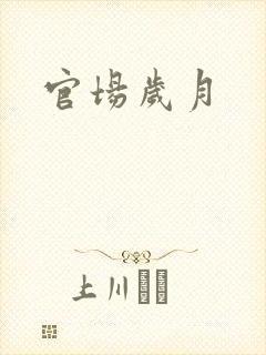 官场岁月