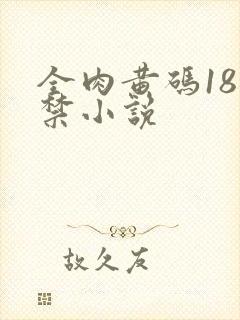 全肉黄码18无禁小说