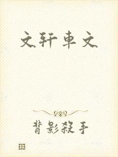 文轩车文