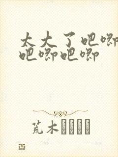 太大了吧唧吧唧吧唧吧唧