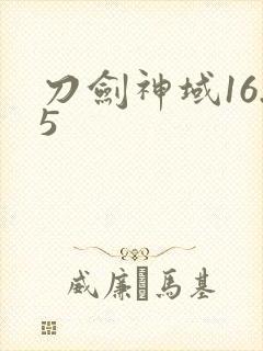 刀剑神域16.5